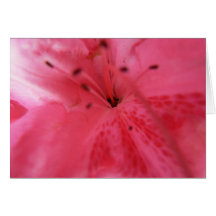 Pink Azalea Note Card