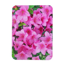 Pink Azalea Premium Magnet