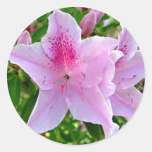 pink azalea sticker 2