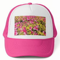 Pink azaleas
