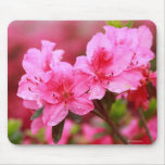 Pink Azaleas Mousepad