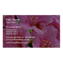 Pink Azaleas W/ Dewdrops flowers Business Cards