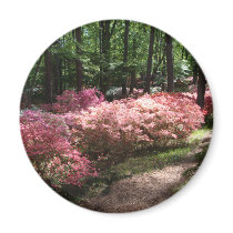 Pink Azaleas Woodland Path Magnet