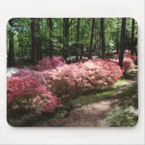 Pink Azaleas Woodland Path Mousepad