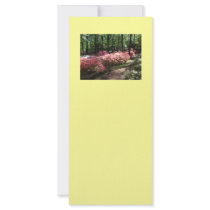 Pink Azaleas Woodland Path Rack Cards