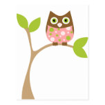 Pink Baby Owl Postcard