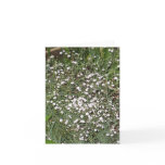 Pink Baby's Breath Brings Immediate Smile cards