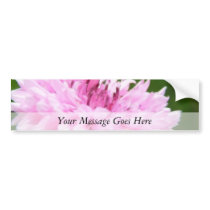 Pink Bachelor Button Bumper Sticker