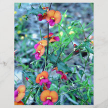 Pink Bacon and Egg flowers Flyer