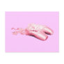 Pink Ballet Shoes Postcards