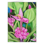 Pink Bananas Watercolour Card