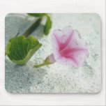 Pink Beach morning glory (Ipomoea pes-caprae) flow mousepads