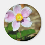 Pink Beauty Refrigerator Magnet