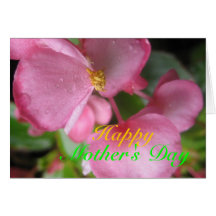 Pink Begonia Mother's Day Card