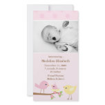 Pink Birds Birth Announcement