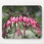Pink Bleeding Heart, (Dicentra Spectabilis) flower Mousepads