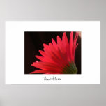 Pink Bliss posters