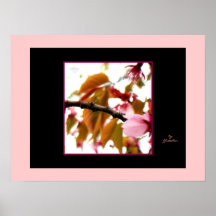 Pink Blossoms and Leaves and Stark Light Photo Pos Poster