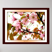Pink Blossoms, Leaves, and Stark Light 2 Poster