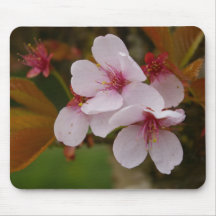 Pink Blossoms Mouse Pads