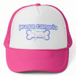 Pink & Blue Canary Dog hats
