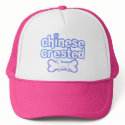 Pink & Blue Chinese Crested Hat