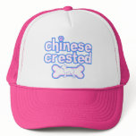 Pink & Blue Chinese Crested Hat