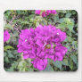 Pink Bougainvillea  Mousepad