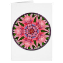 Pink Bromeliad Mandala Greeting Card