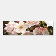 Pink Bunch Bumper Sticker