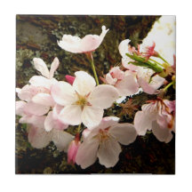 Pink Bunch Ceramic Tiles