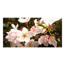 Pink Bunch Photo Greeting Card