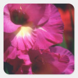Pink Burgandy beauty flowers Stickers