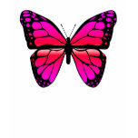 Pink Butterfly Shirt