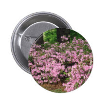 Pink By a garden path flowers