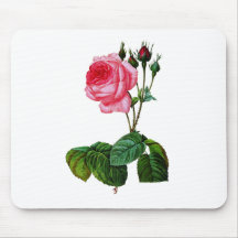 Pink Cabbage Rose By Pierre Joseph Redoute Mousepads