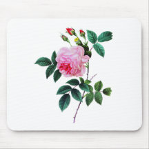 Pink Cabbage Rose by Pierre Joseph Redoute Mouse Pads