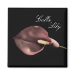Pink Calla - magnet