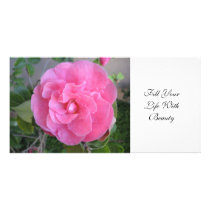 pink camelia blossom, Fill YourLife WithBeauty Personalized Photo Card