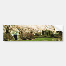 Pink Canopy Bumper Sticker