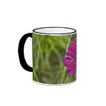 Pink Cape Daisy Flower coffee mug