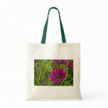 Pink Cape Daisy Flower tote bag