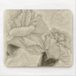 Pink Carnations 3 Antiqued