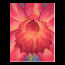 Pink Catleya Orchids Art - Multi postcards