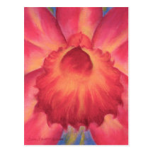 Pink Catleya Orchids Art - Multi Postcard
