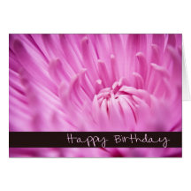 Pink Chrysanthemum Happy Birthday Card
