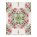 Pink Chrysanthemums Kaleidoscope Art 10 Post Card