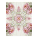 Pink Chrysanthemums Kaleidoscope Art 1 Post Cards
