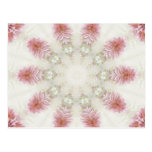 Pink Chrysanthemums Kaleidoscope Art 2 Postcards