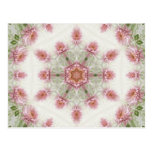 Pink Chrysanthemums Kaleidoscope Art 4 Postcard